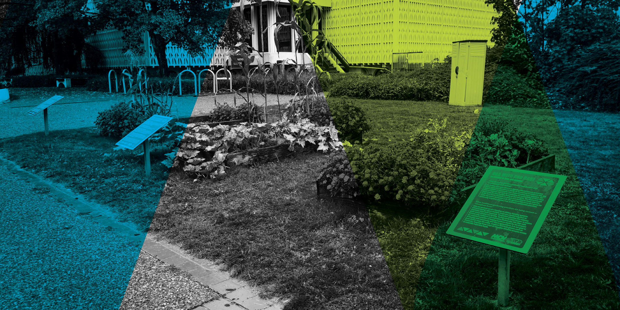Backyard Garden — MOV | Museum of Vancouver